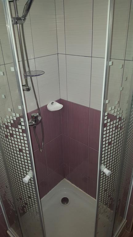 Vila Alex Hotel Călimăneşti Bagian luar foto
