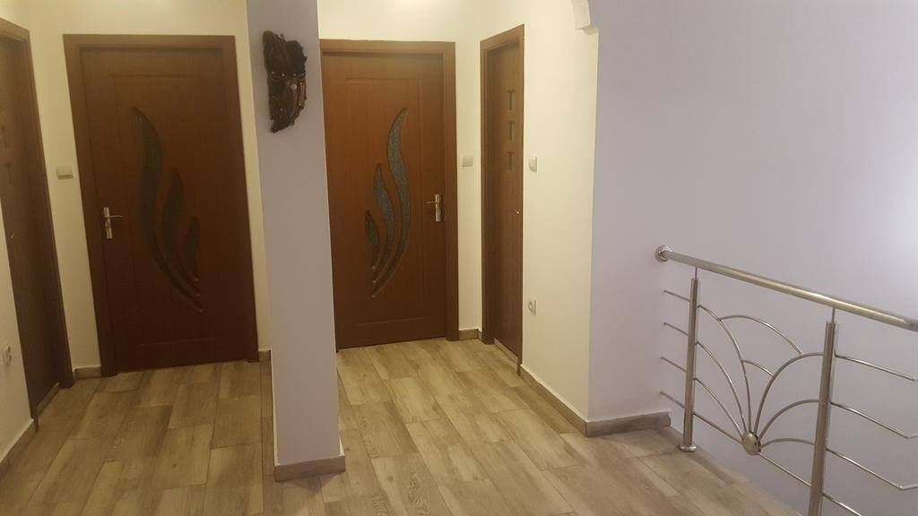 Vila Alex Hotel Călimăneşti Bagian luar foto