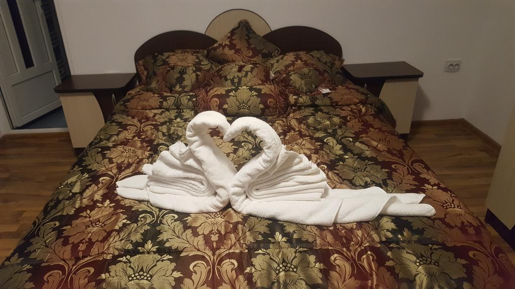 Vila Alex Hotel Călimăneşti Bagian luar foto