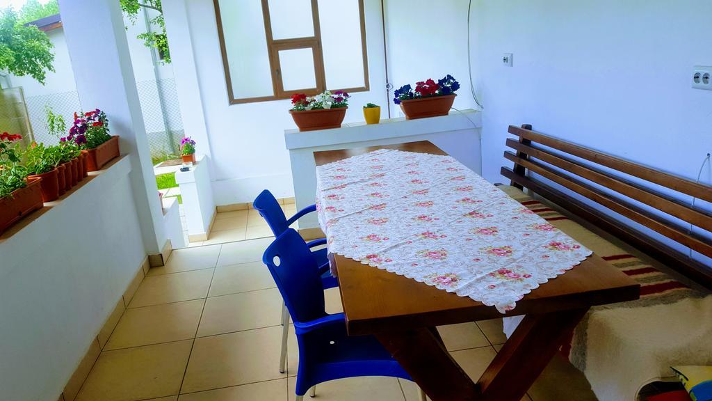 Vila Alex Hotel Călimăneşti Bagian luar foto