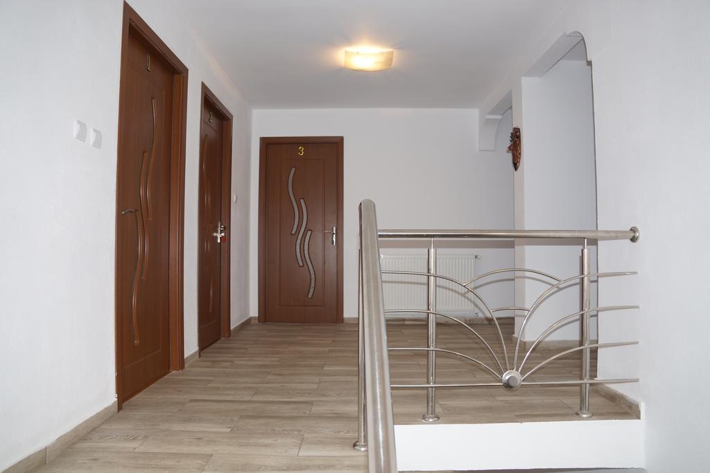 Vila Alex Hotel Călimăneşti Bagian luar foto